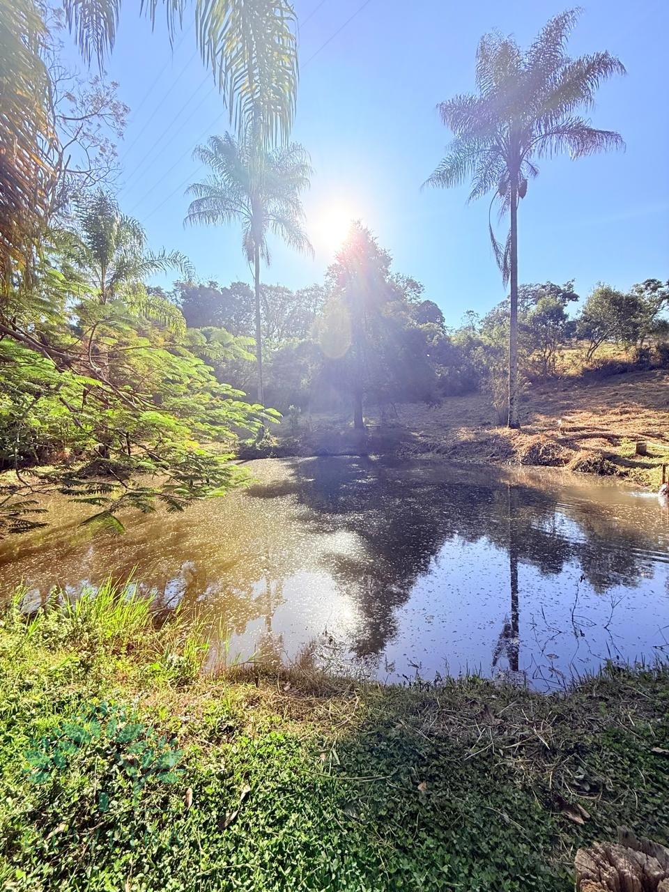 Chacara residencial em extrema - mg, ponte nova