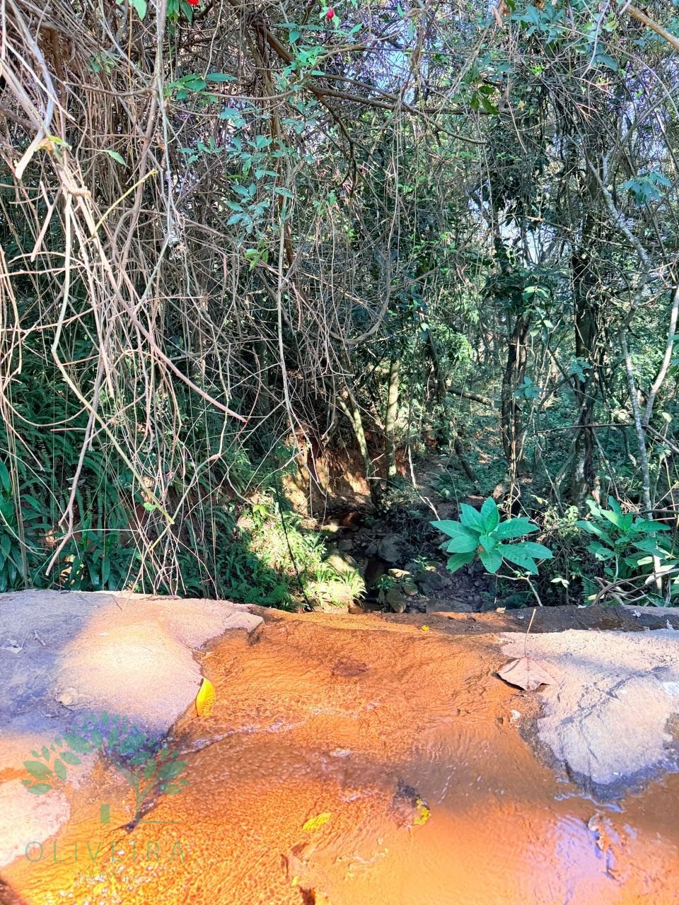 Chacara residencial em extrema - mg, ponte nova