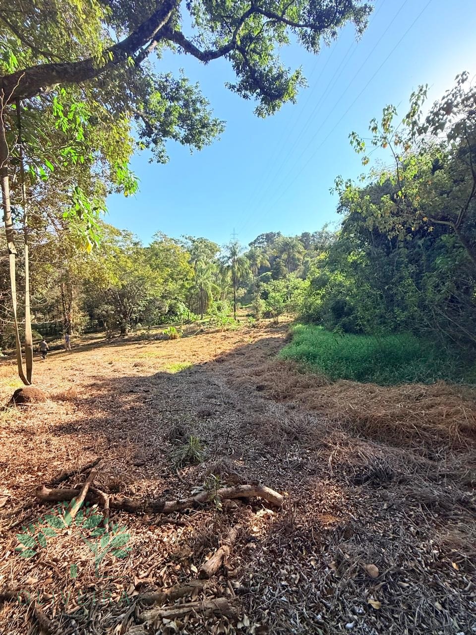 Chacara residencial em extrema - mg, ponte nova