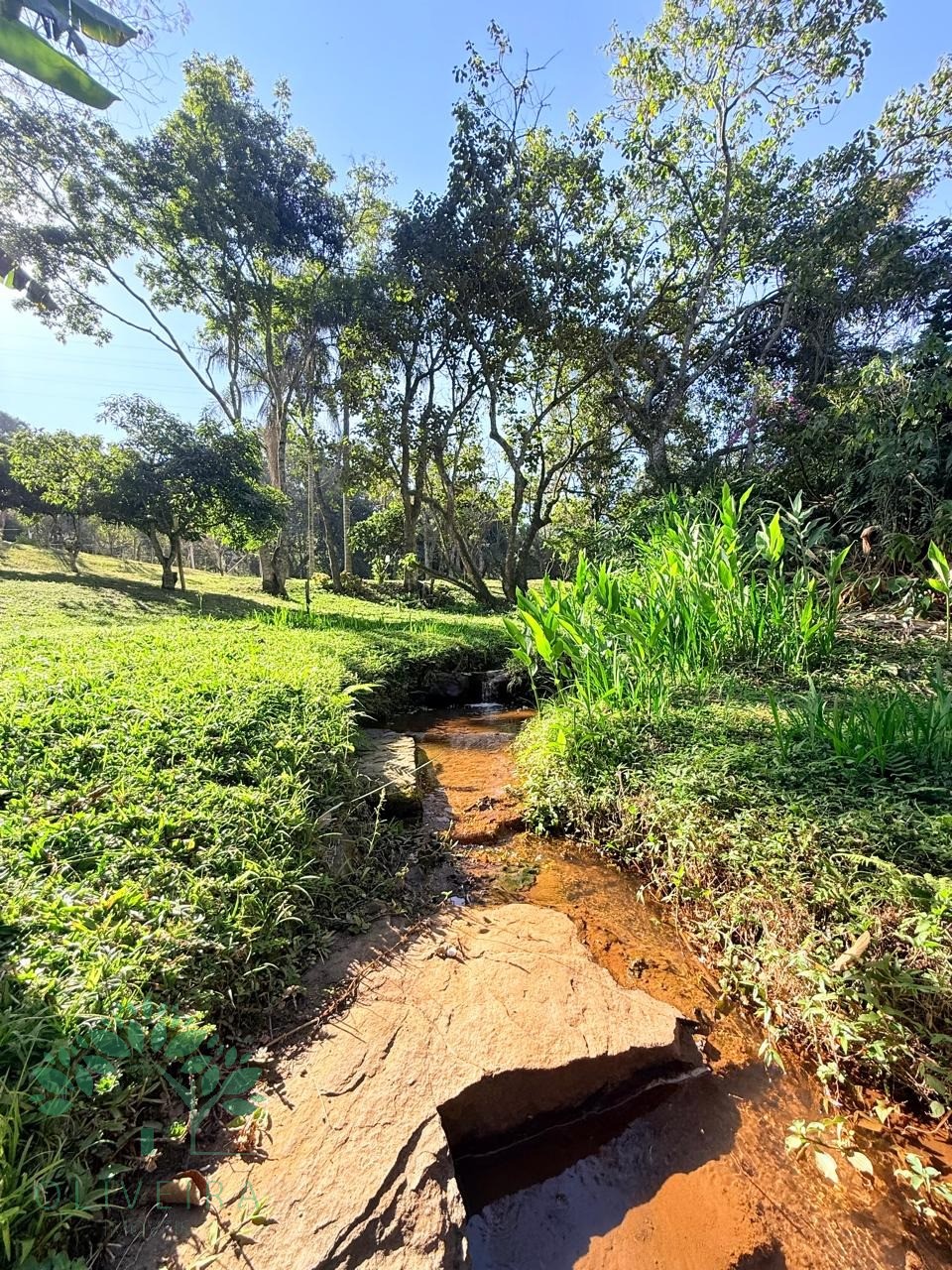 Chacara residencial em extrema - mg, ponte nova