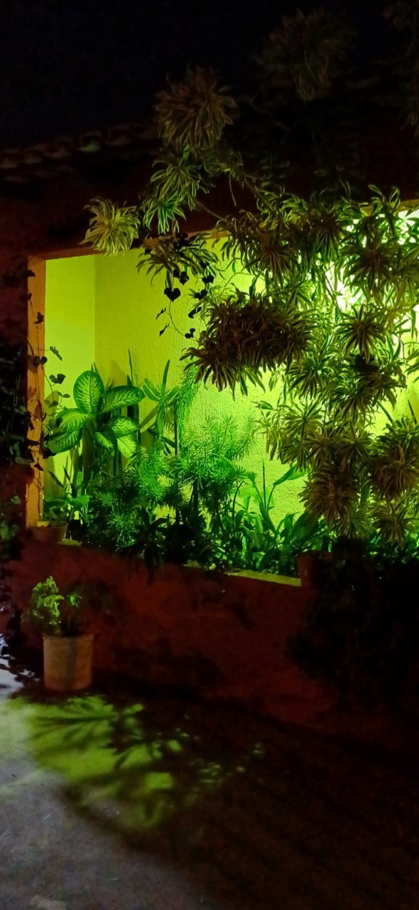 Casa, 4 quartos, 230 m² - Foto 68