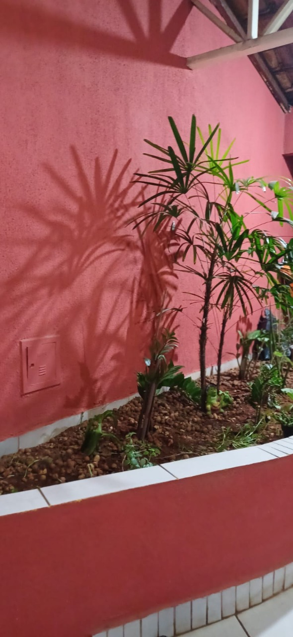 Casa, 4 quartos, 230 m² - Foto 59