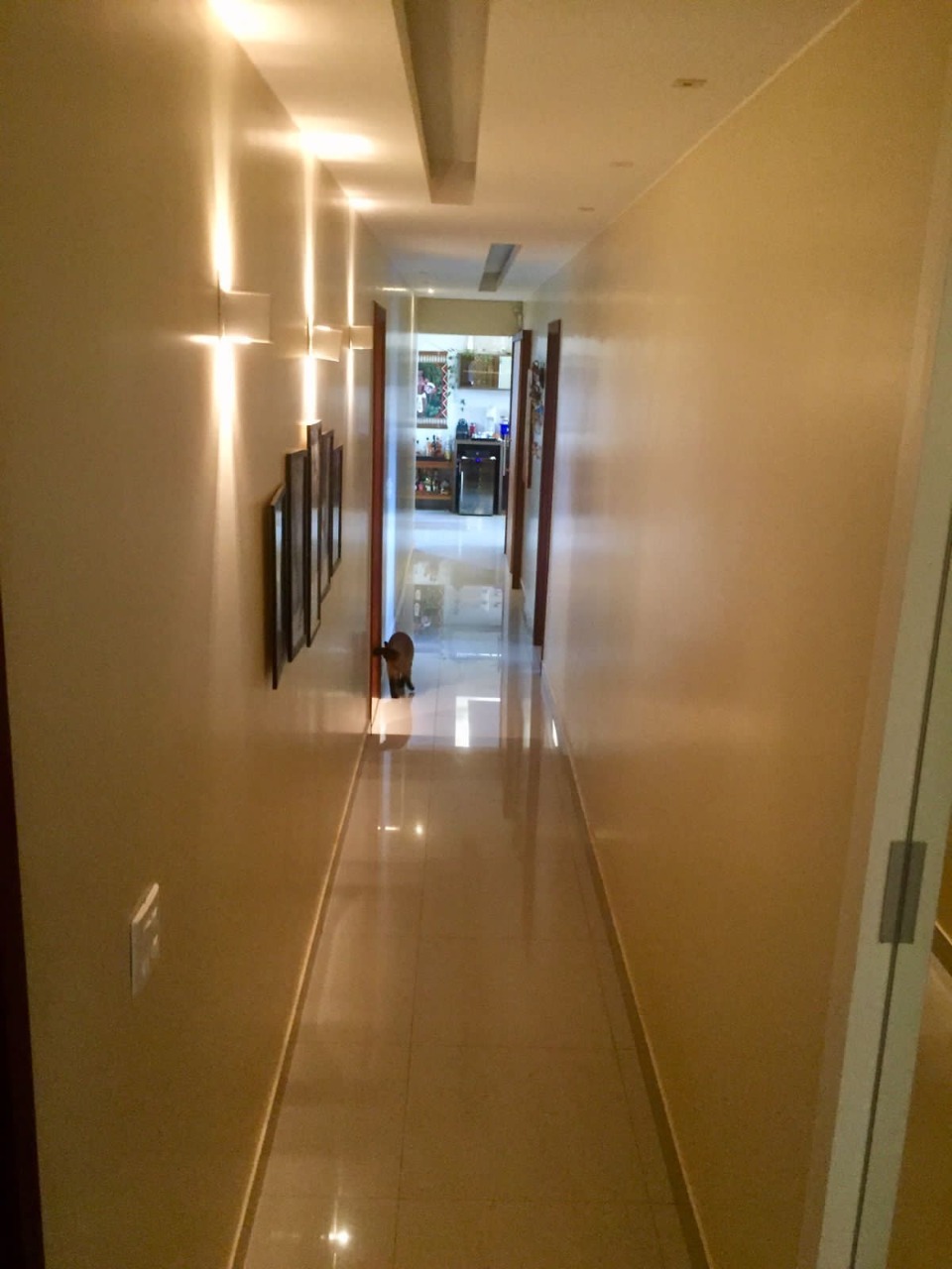 Casa, 4 quartos - Foto 48