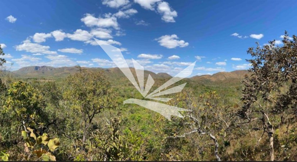 Terreno, 5 hectares - Foto 1