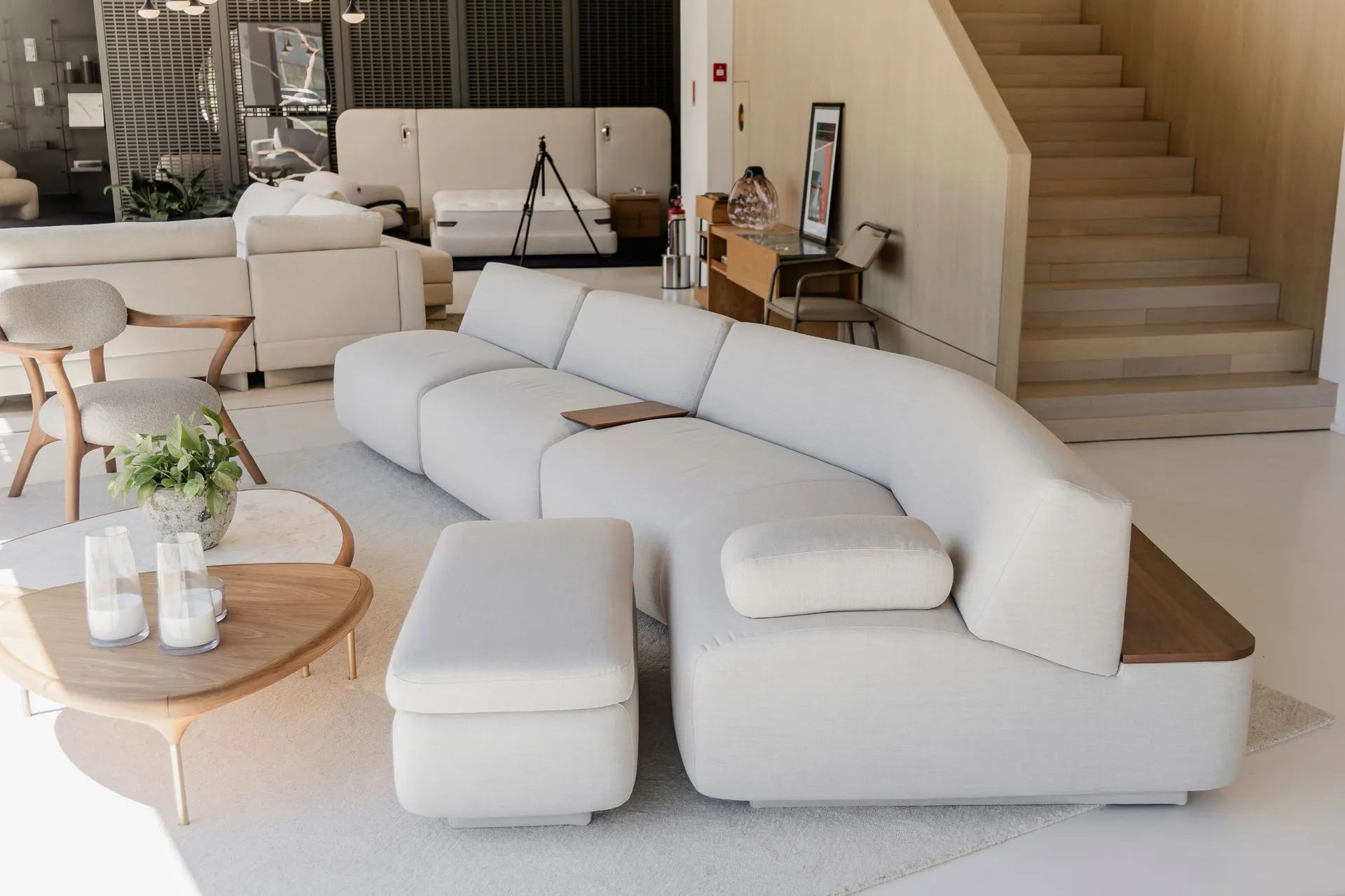 Bellarte+Sensus-397-1920w