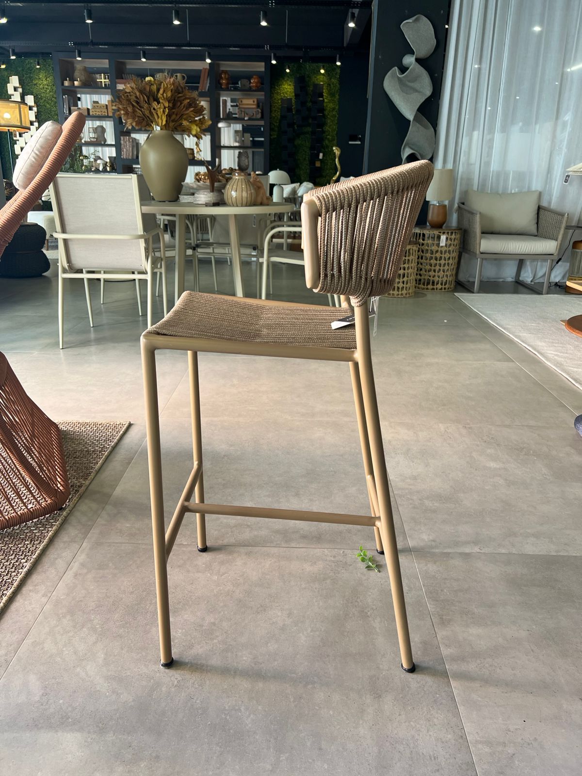 WhatsApp Image 2026-03-19 at 15.49.51