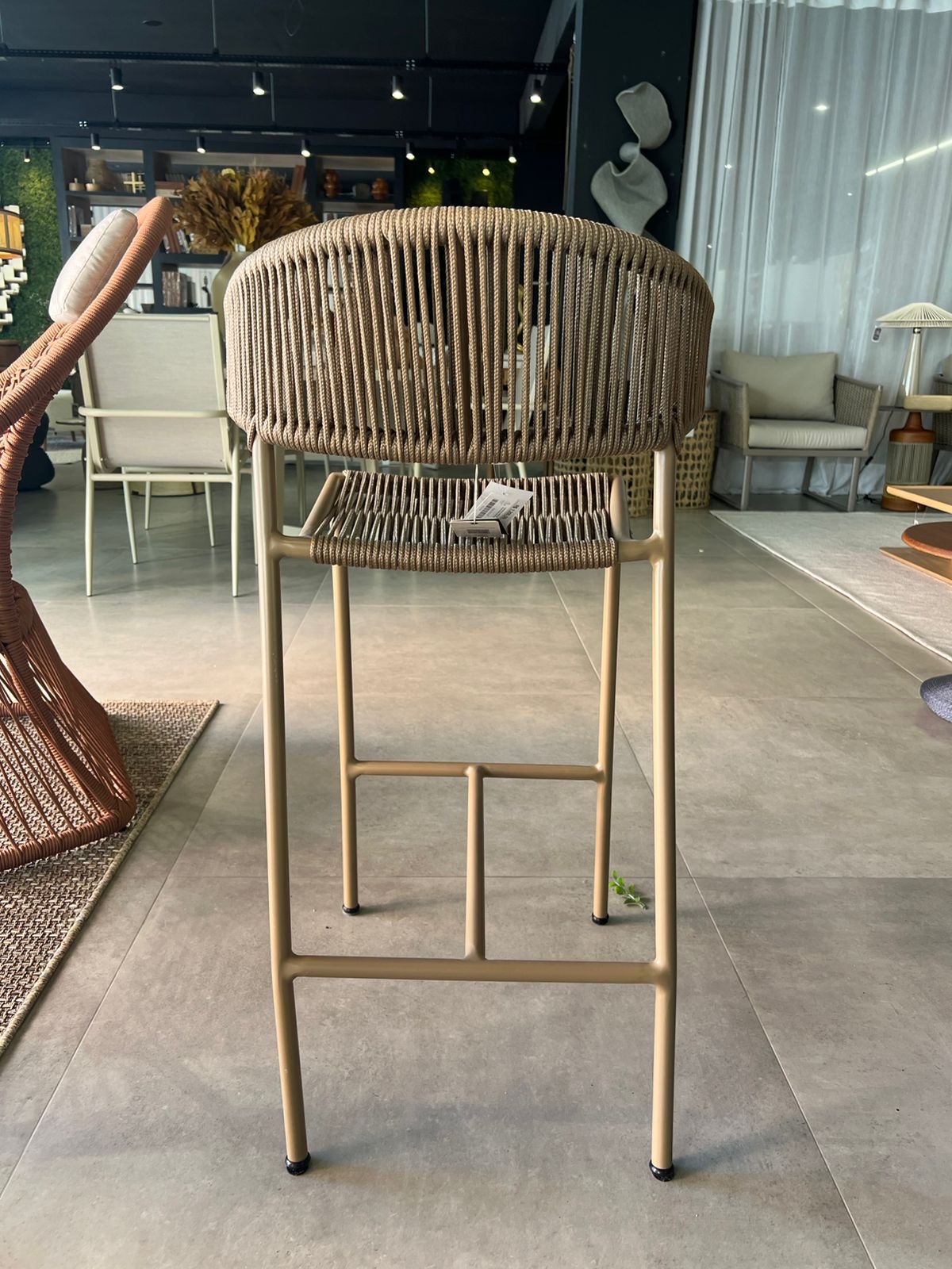 WhatsApp Image 2026-03-19 at 15.49.50