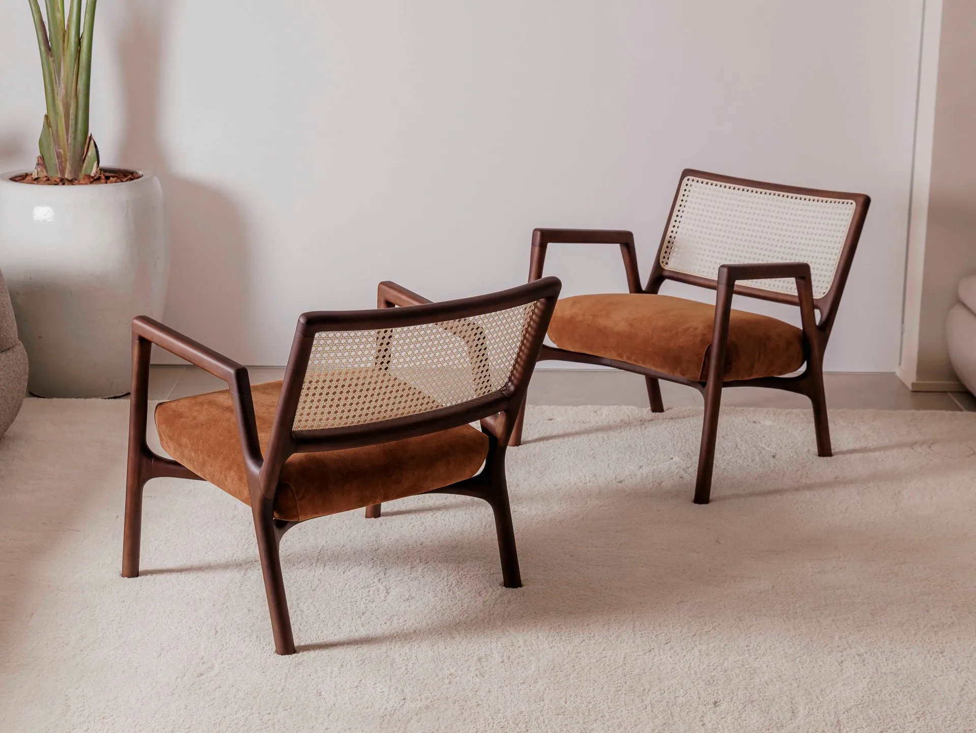 Sensus+Bellarte-104-1920w