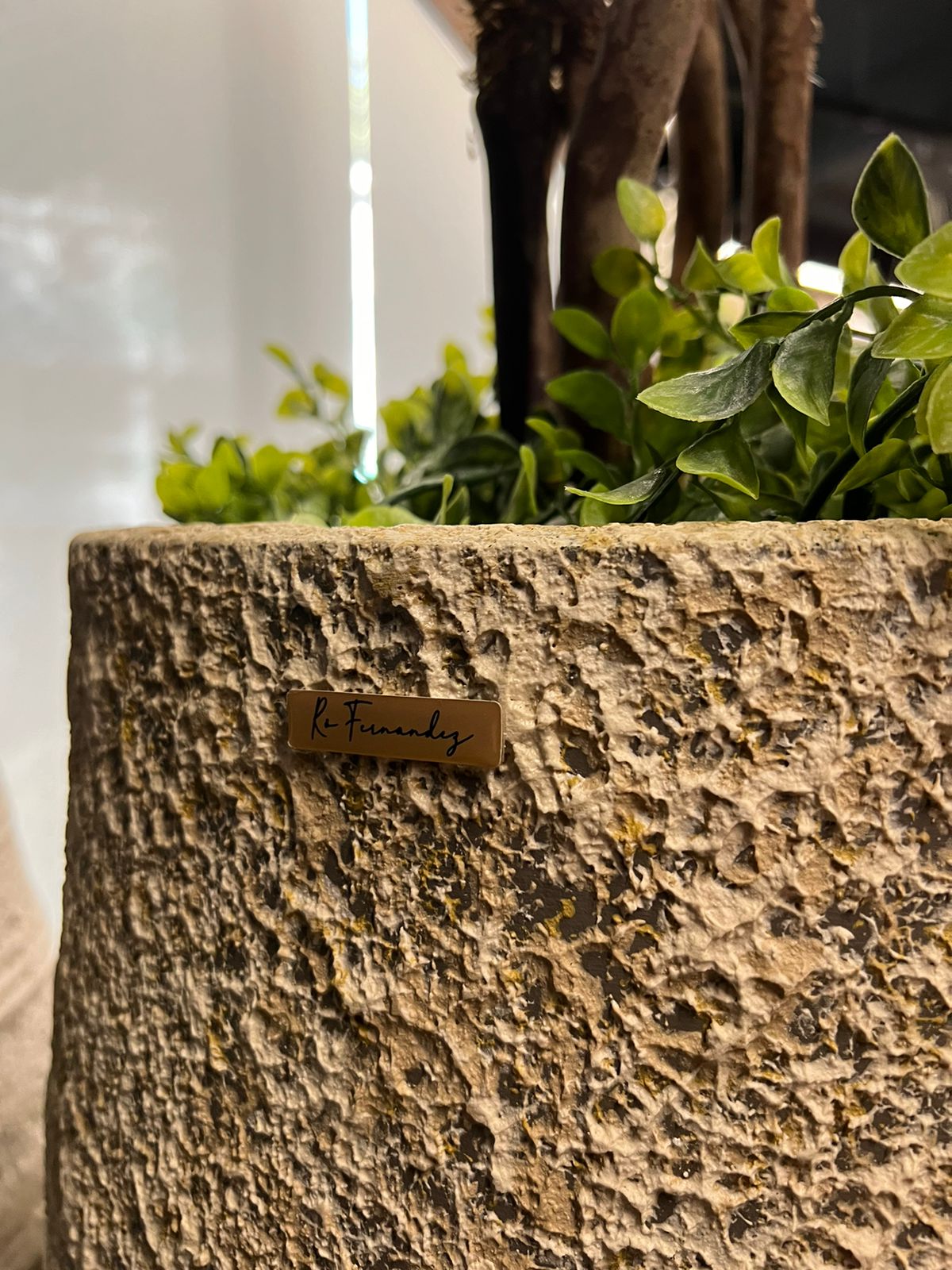 Imagem do WhatsApp de 2024-11-13 à(s) 17.31.26_a6ff0480