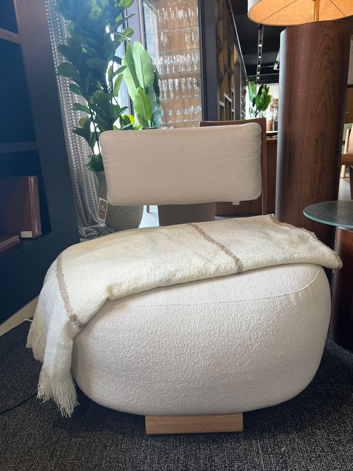 WhatsApp Image 2026-02-26 at 18.12.56