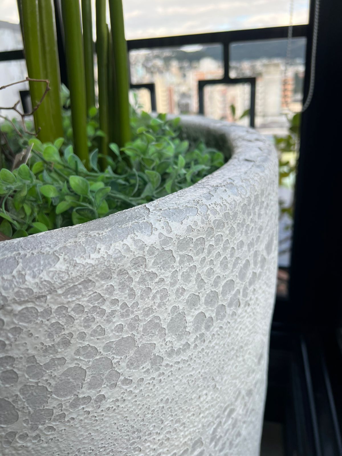 Imagem do WhatsApp de 2025-07-04 à(s) 11.35.47_51cf8b62