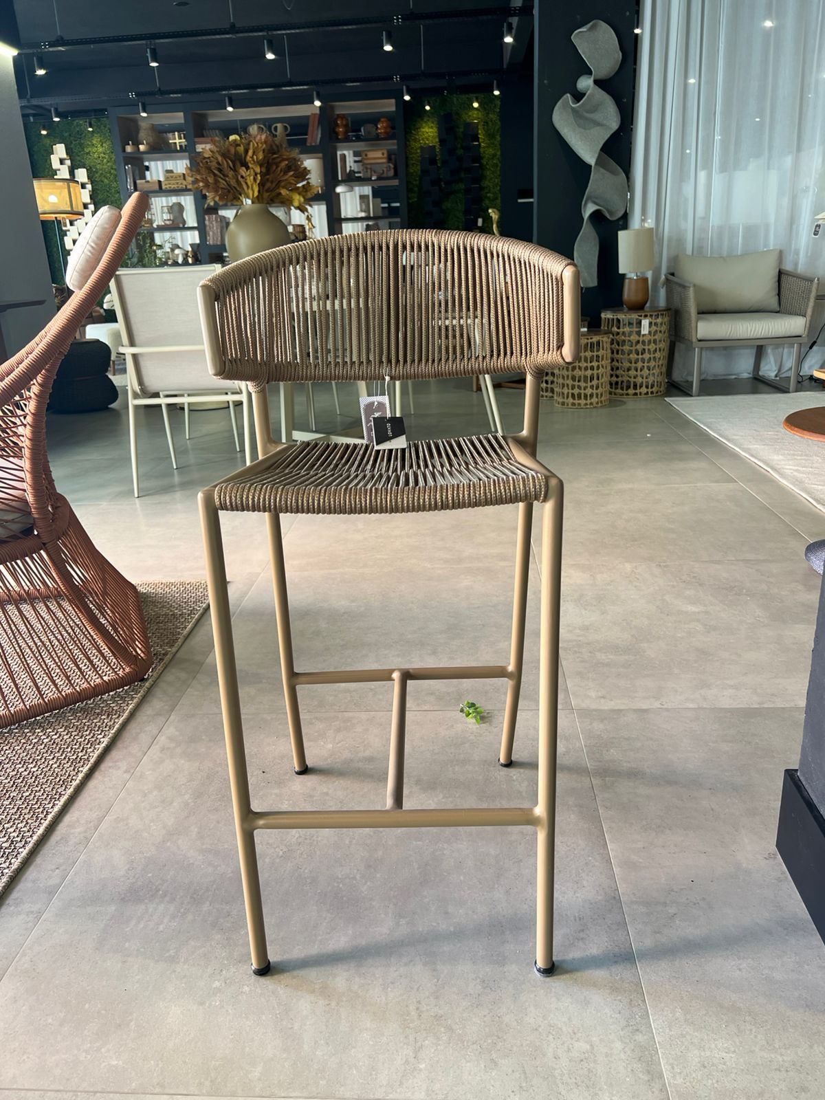 WhatsApp Image 2026-03-19 at 15.49.54