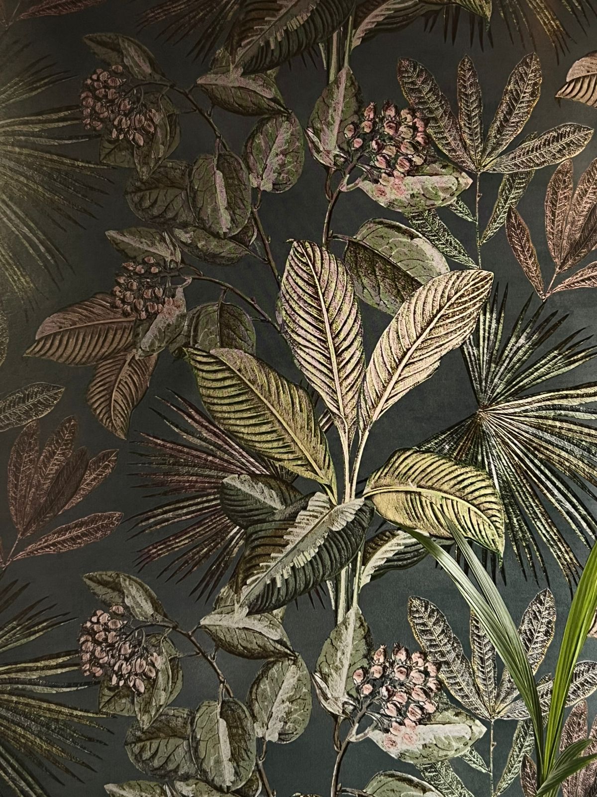 Imagem do WhatsApp de 2025-06-25 à(s) 16.25.57_b0ce5286