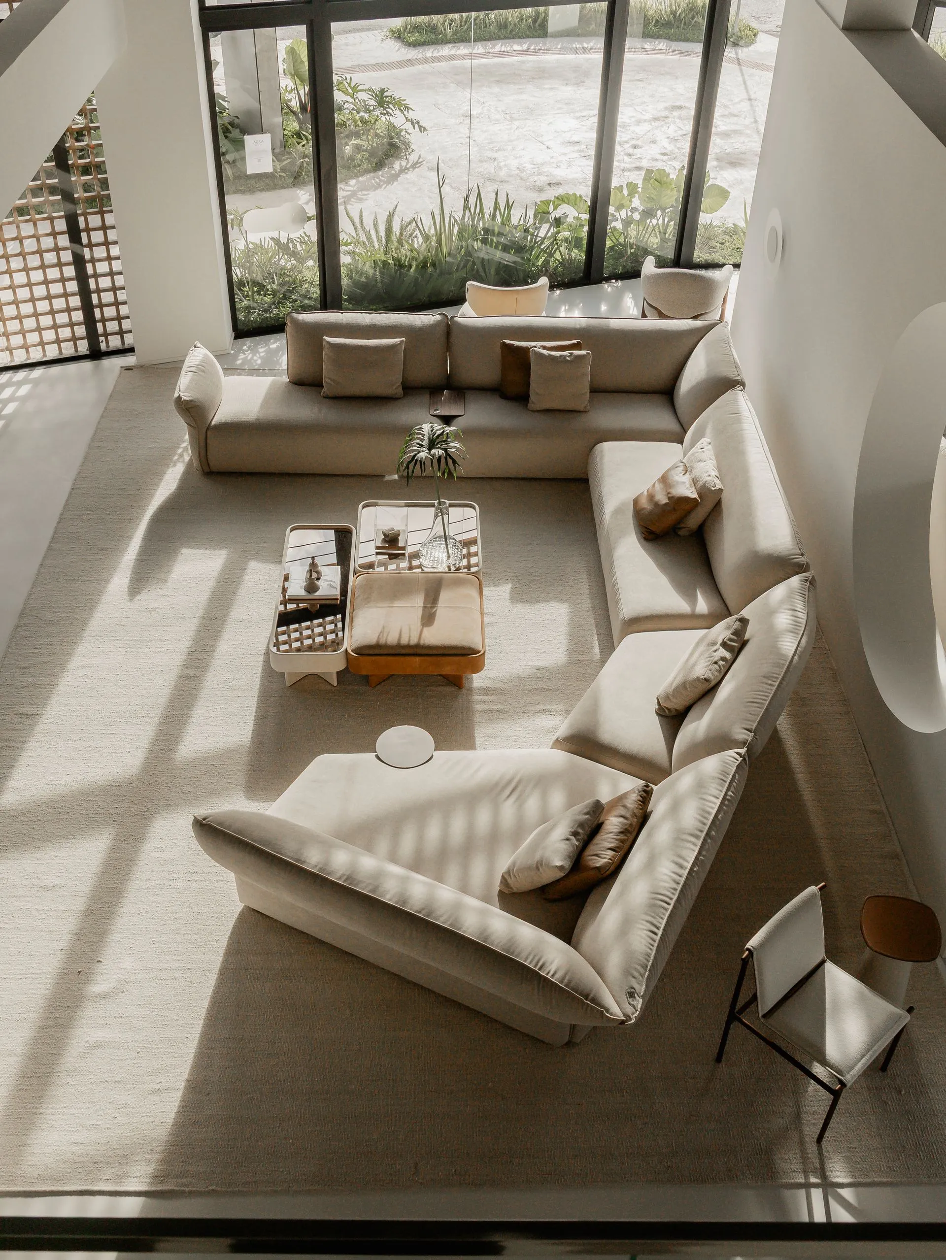 Bellarte+Sensus-263-1920w