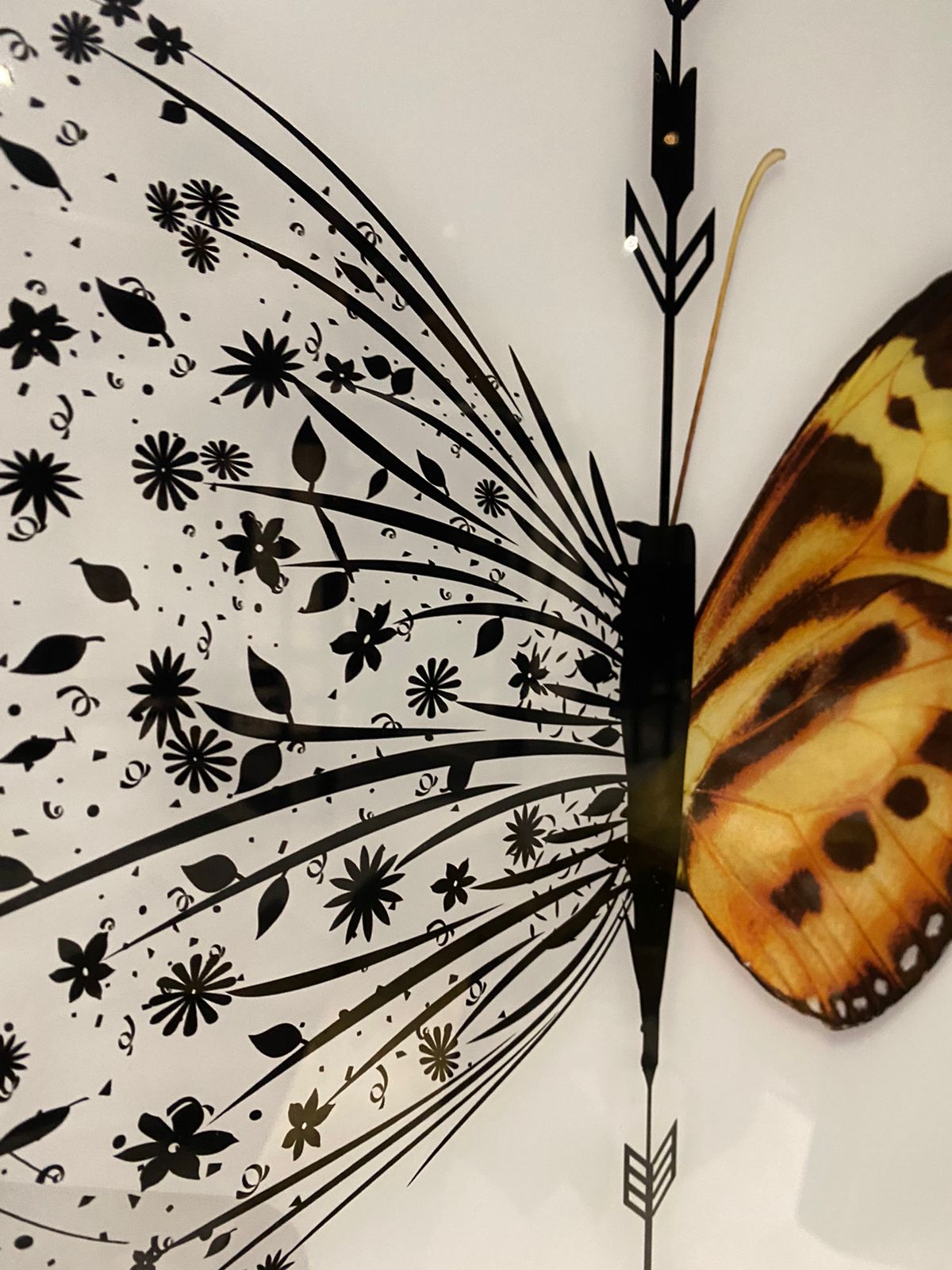 WhatsApp Image 2024-05-23 at 17.01.08