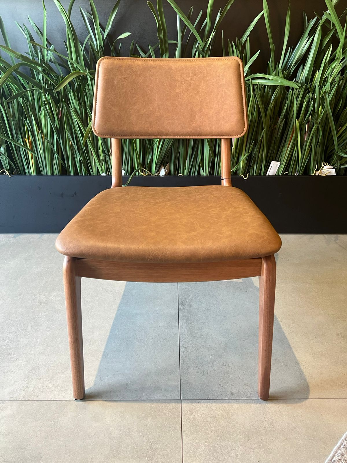 WhatsApp Image 2026-03-27 at 12.00.09