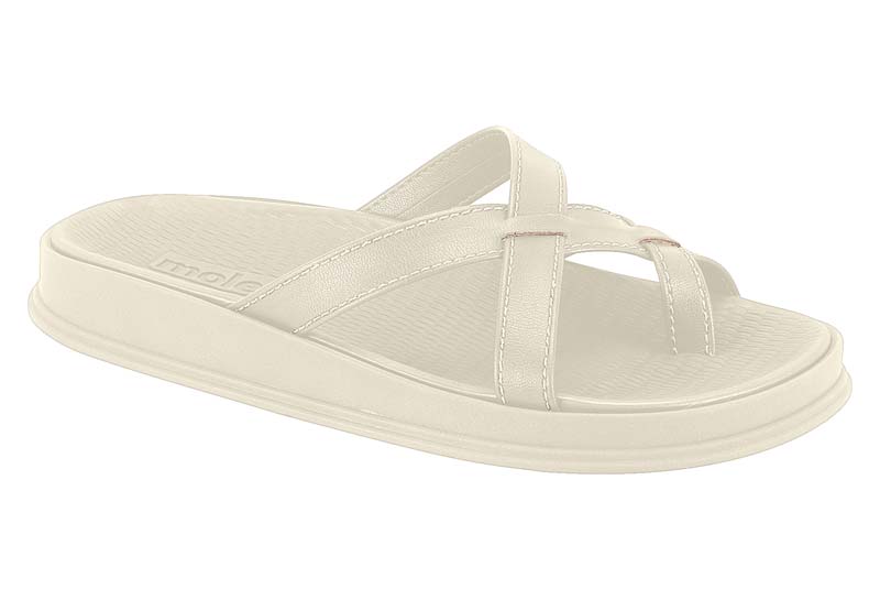 REF. 5556.101 - Principal