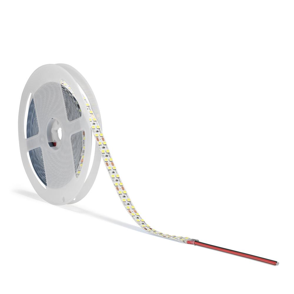 Fita LED SMD Elgin 5m 24V 19W 240 LEDs Luz 3000K 4000K 6500K