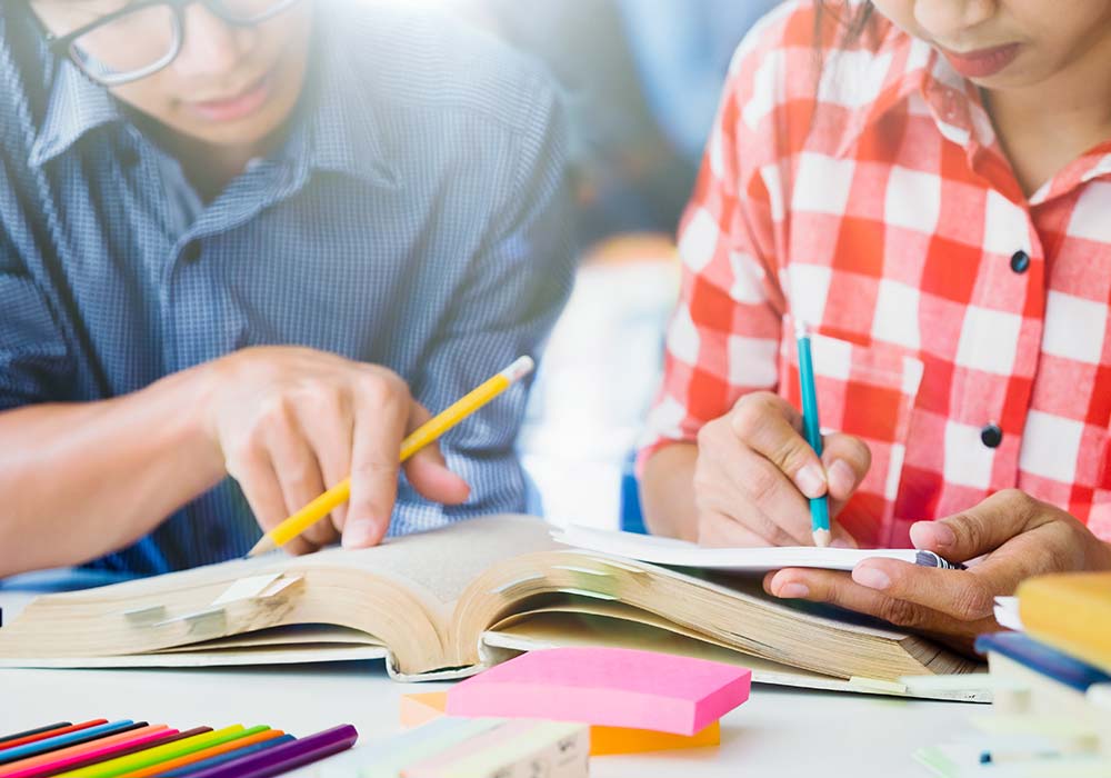 grupo estudos encceja 2019
