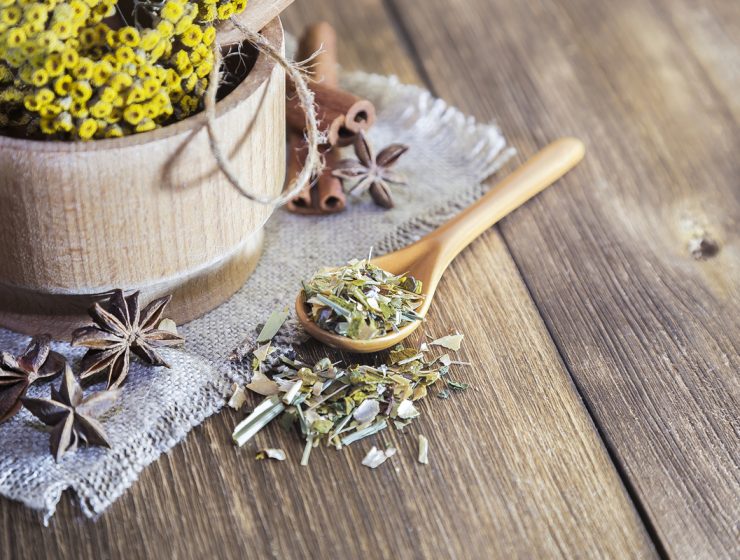 qué son las plantas medicinales y para qué sirven