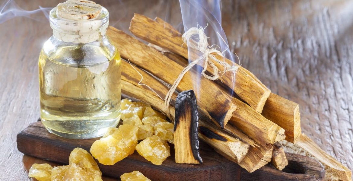 Beneficios del Palo Santo, la "madera sagrada"