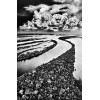 <p>Sebastião Salgado (1944) - Ilhas Anavilhanas - fotografia - 19,8 x 29,7 cm - 2009 - Acompanha Certificado do Artista, edição limitada Sebastião Salgado-Bradesco.</p>