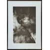 <p>Valdir Cruz (1954) - Yarima - Venezuela - fotografia, 9/25 - 76 x 90cm - assinada canto inferior direito - 1996</p> <p>Valdir Cruz (1954) - Yarima - Venezuela - fotografia, 9/25 - 76 x 90cm - assinada canto inferior direito - 1996</p>