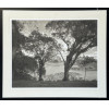 <p>Valdir Cruz (1954) - Lanscape Lake and Trees - fotografia, 17/25 - 76 x 97cm - assinada canto inferior direito</p> <p>Valdir Cruz (1954) - Lanscape Lake and Trees - fotografia, 17/25 - 76 x 97cm - assinada canto inferior direito</p>