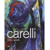 Antonio Carelli. O livro traz a biografia, a formação e a obra do artista visual Antonio Carelli. O volume conta com mais de 150 obras catalogadas e apresenta uma completa cronologia do artista, ilustrada com diversas fotos de seu acervo pessoal. O texto é assinado p elo historiador e crítico de arte João J. Spinelli, curador de algumas de suas exposições. As composições de Antonio Carelli se caracterizam pelas naturezas-mortas, paisagens e autorretratos, que acompanham e registram as transformações artísticas do pintor. Já no mosaico, Carelli destacou-se pela renovação na criação dos murais e painéis cerâmicos, sendo o responsável por restabelecer a importância do mosaico para as artes visuais, nos anos 1950. Livro em capa dura, amplamente ilustrado, 190 páginas, medidas 31 x 25 cm