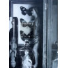 Farnese de Andrade. Catálogo da mostra de objetos de Farnese de Andrade (1926-1996), exibida nos Centros Culturais do Banco do Brasil no Rio de Janeiro e em São Paulo, no primeiro semestre de 2005. Curada por Charles Cosac, a exposição reuniu 126 peças que ilustram o denso simbolismo do artista. O catálogo traz texto do curador (Hábitos estranhos), de Marco Antonio Mastrobuono (Todo humano) e do próprio artista (A grande alegria). Livro em capa dura, amplamente ilustrado, edição bilíngue, 256 páginas em papel couché, medidas 22 x 17 cm