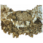 Leilões Esporádicos ou Beneficentes - ConfluênciasSP 2025 – Leilão Beneficente de Arte Contemporânea