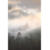 <p>A obra é parte de uma série de fotos sobre São Franscisco Xavier, suas montanhas e cachoeiras. Na incansável busca pela luz perfeita entre as montanhas, neblina e árvores dessa vila tão especial faz parte de uma história de amor entre o fotógrafo e São Chico. (Pedro Montes)</p>