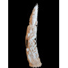 <p>Escultura de divindade oriental, possivelmente Guanyin, de marfim, ricamente esculpida com minuciosos detalhes. A figura apresenta-se trajando vestes fluidas, acompanhada por elementos simbólicos, com duas pequenas figuras auxiliares em sua base e uma em seu topo - 55 cm alt - Ass na base</p>