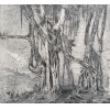 <p>Carlos Oswald gravura em metal 39 x 53cm Paisagem Silvestre ass. CIE. Sem moldura</p>