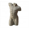 <p>Escultura de concreto representando torso masculino, forma clássica. Alt. 29 x 16 x 10cm. Séc. XX</p>