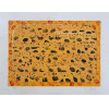 <p>CILDO MEIRELES - Sem titulo - serigrafia 18/20 - 46 x 60 cm - a.c.i.d. 2007. Obs. sem moldura.</p>