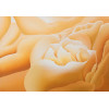 PIETRINA CHECCACCI - Sonhos - vinil sobre tela - 70 x 100 cm - assinado no verso 2001
