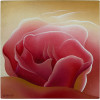 PIETRINA CHECCACCI - Entre rosa - vinil sobre tela - 30 x 30 cm - a.c.i.e. 1999