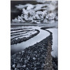 <p>Sebasti&atilde;o Salgado - Ilhas Anavilhanas S&eacute;rie: G&ecirc;nesis (Amaz&ocirc;nia) - Fotografia em gelatina de prata (preto e branco) Papel fotogr&aacute;fico fine art - 20 alt x 30 larg - . - Acompanha certificado emitido pelo artista.</p>