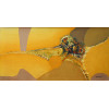 <p>Tikashi Fukushima - Composi&ccedil;&atilde;o em amarelo - &Oacute;leo sobre tela - 45 alt x 90 larg - acid&nbsp;</p>