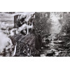 <p>Sebasti&atilde;o Salgado - Monte Roraima /Floresta de Atitude - Fotografia monocrom&aacute;tica - 25 alt x 17 larg (cm) - ass. no verso - 2018 - Lote com duas Obras (edi&ccedil;&atilde;o limitada - Acompanha certificado de autenticidade assinado pelo Artista)</p>