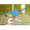 <p>Agostinho Batista de Freitas - Arara Azul - &Oacute;leo sobre tela - 50 alt x 70 larg (cm) - acie - 1991 - Obra apresenta Certificado Emitido pela galeria Blombl&ocirc;</p>