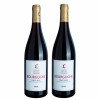 2 garrafas de Michel Lafarge Bourgogne Pinot Noir 2020 - Domaine Michel Lafarge, Vinho Tinto, 750 ml, França, Borgonha.