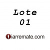 <p>Nome do Artirsta - Título da obra - Descrição completa, medidas, técnica, ano, qualr outra informação do lote</p>