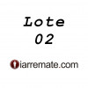 <p>Nome do Artirsta - Título da obra - Descrição completa, medidas, técnica, ano, qualr outra informação do lote</p>