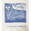 <p>Aldemir Martins - Coruja Azul - Serigrafia 3/30 - 39x36 - Acid - Edição Postutuma</p> <p>Aldemir Martins - Coruja Azul - Serigrafia 3/30 - 39x36 - Acid - Edição Postutuma</p>