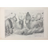 <p>Cândido Portinari - Rotogravura - 36 x 54 - Gravura do álbum Mestres do Desenho, editora Cutrix,</p>