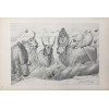 <p>Cândido Portinari - Rotogravura - 36 x 54 - Gravura do álbum Mestres do Desenho, editora Cutrix, Ass. na Matriz</p> <p>Cândido Portinari - Rotogravura - 36 x 54 - Gravura do álbum Mestres do Desenho, editora Cutrix, Ass. na Matriz</p>