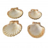 <p>Conjunto composto por 20 conchas. 12 x 11 cm.</p>