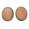 <p>Par de brincos em metal e coral.</p>